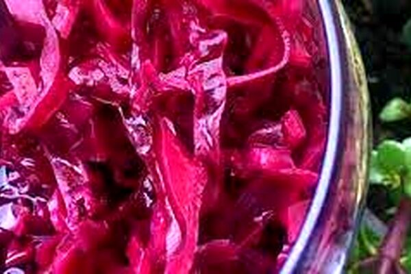 طرز تهیه ترشی کلم قرمز/راز و رمز خوشمزگی ترشی کلم قرمز به روش رستوران‌ها