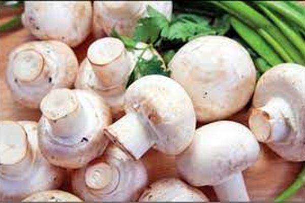 کرونا باعث افزایش قیمت قارچ شد!