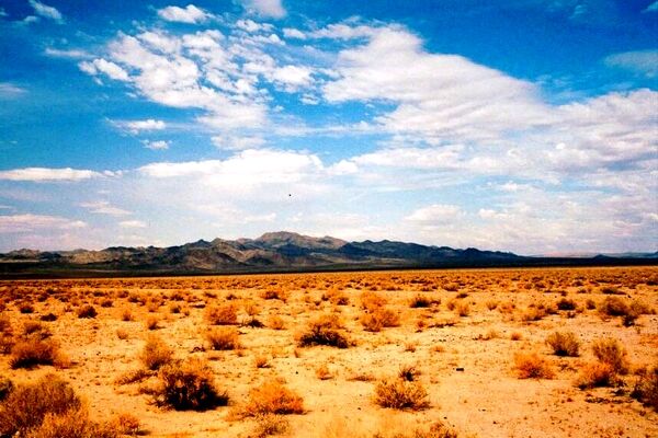 بیابانزایی سالانه ۳۰ هزار میلیارد ریال به زیرساختهای کشور خسارت می‌زند