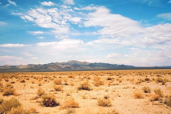 بیابانزایی سالانه ۳۰ هزار میلیارد ریال به زیرساختهای کشور خسارت می‌زند