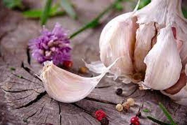 روش تهیه شربت سیر؛ پنی سیلینی طبیعی