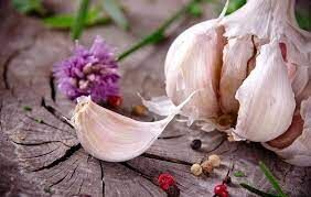 روش تهیه شربت سیر؛ پنی سیلینی طبیعی