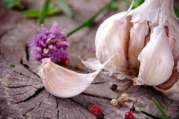 روش تهیه شربت سیر؛ پنی سیلینی طبیعی