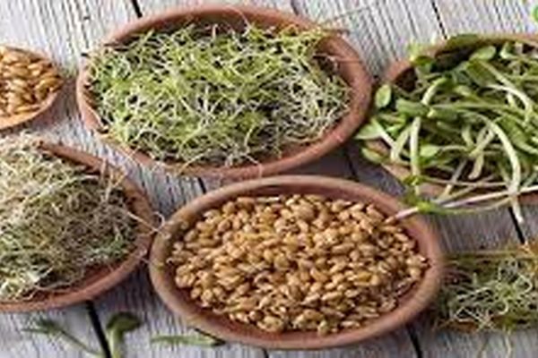 خوردنی مفیدی که هرگز نباید خام مصرف شود