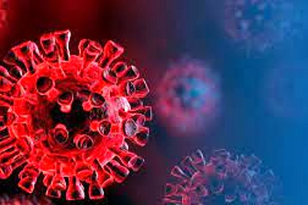 تست چشمی از زائران اربعین چیست؟