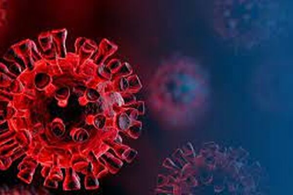 تست چشمی از زائران اربعین چیست؟