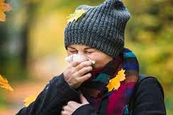 چگونه ایمنی بدن را در فصل پاییز بالا ببریم؟
