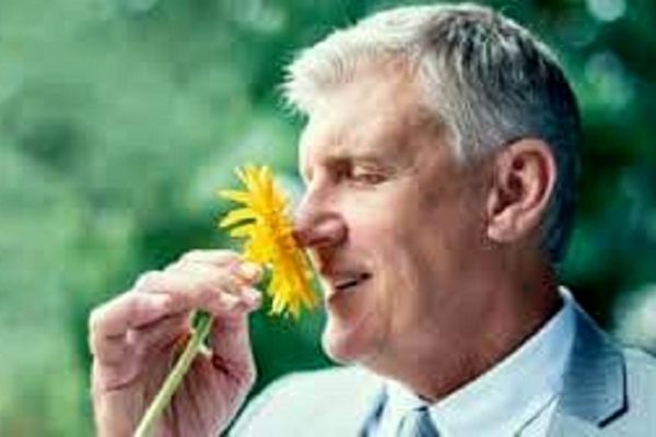 ارتباط بوها در یادآوری خاطرات!؟