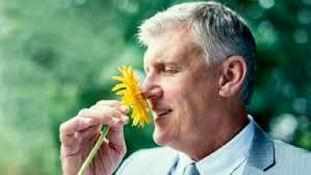 ارتباط بوها در یادآوری خاطرات!؟