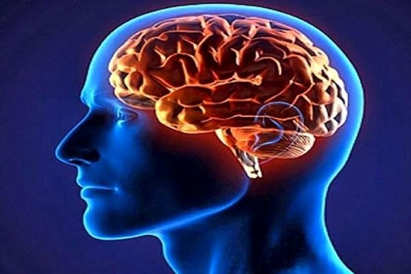 این ۷ تمرین شما را هرروز باهوش تر می‌کنند