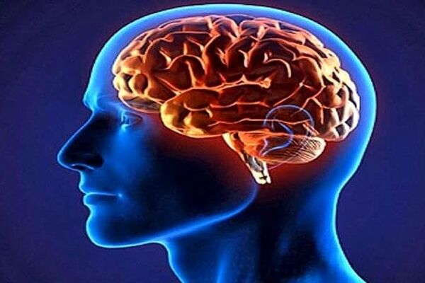 این ۷ تمرین شما را هرروز باهوش تر می‌کنند