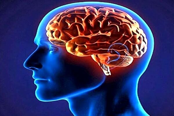 این ۷ تمرین شما را هرروز باهوش تر می‌کنند