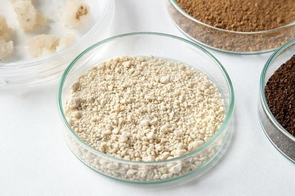 تولید قهوه آزمایشگاهی با عطر و طعمی خاص