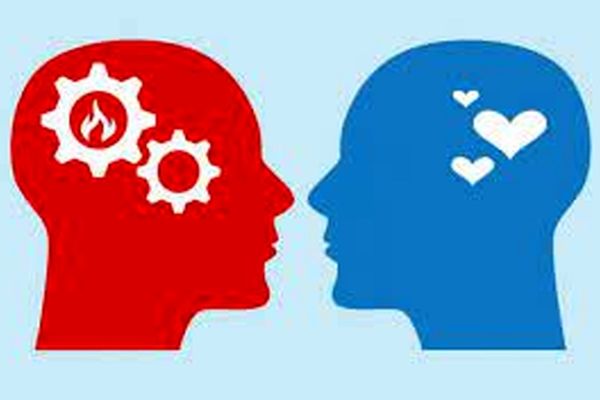 شما آقا،خانم احساسی هستید یا منطقی؟