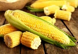 بایدها و نبایدهای خوردن ذرت را بدانید
