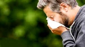 مهم‌ترین خوراکی‌هایی که برای حساسیت‌های فصلی مفید هستند