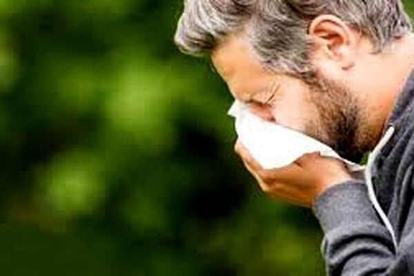 مهم‌ترین خوراکی‌هایی که برای حساسیت‌های فصلی مفید هستند