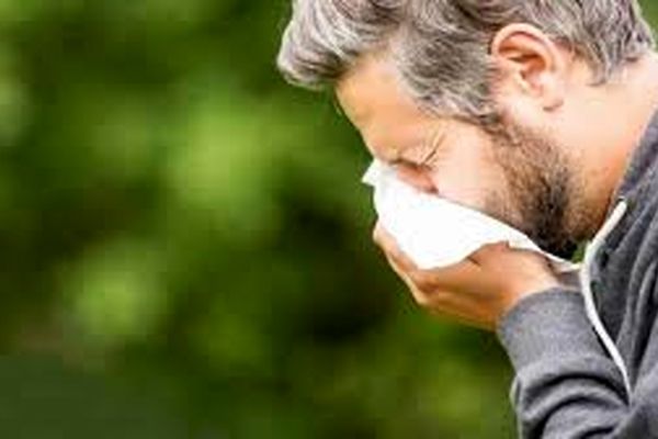 مهم‌ترین خوراکی‌هایی که برای حساسیت‌های فصلی مفید هستند