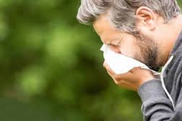 مهم‌ترین خوراکی‌هایی که برای حساسیت‌های فصلی مفید هستند