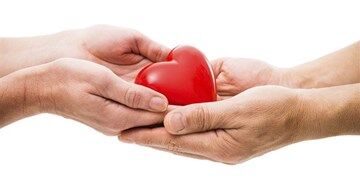 اهدای عضو به 4 بیمار زندگی دوباره بخشید