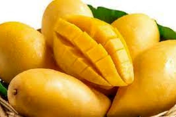 ۵ ماده غذایی که نباید بعد از خوردن انبه مصرف کرد!