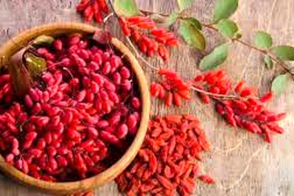 بهبود سندروم متابولیک با زرشک/مکمل دارویی برپایه زرشک تولید شد