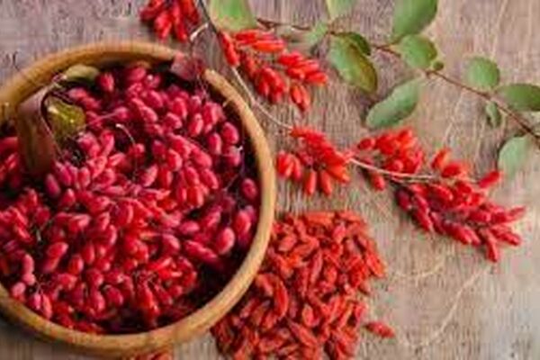 بهبود سندروم متابولیک با زرشک/مکمل دارویی برپایه زرشک تولید شد
