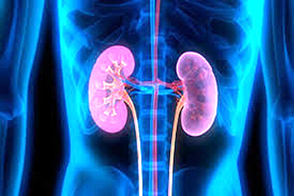 عادت‌های غلطی که کلیه‌ها را در معرض خطر قرار می‌دهند