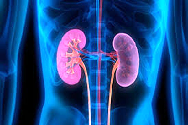 عادت‌های غلطی که کلیه‌ها را در معرض خطر قرار می‌دهند