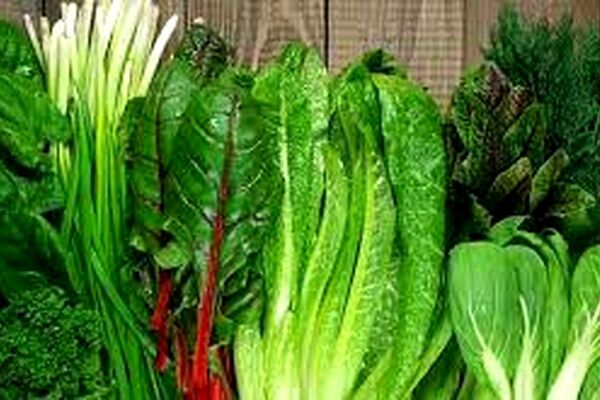 خواص شگفت انگیز سبزیجات برگ‌دار چیست؟