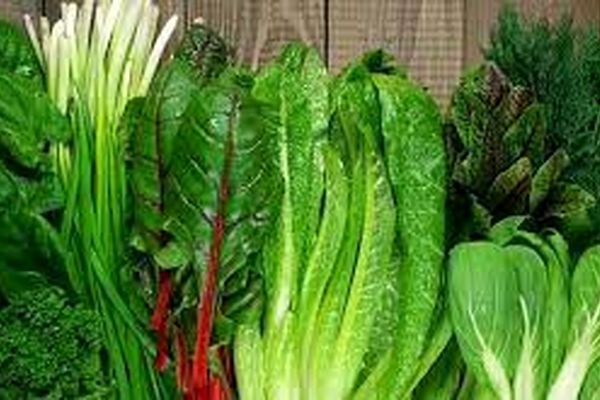 خواص شگفت انگیز سبزیجات برگ‌دار چیست؟