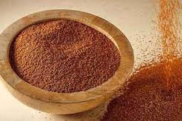 پاک‌سازی سریع کبد با خاکشیر+ نسخه اصلی برای این بیماری