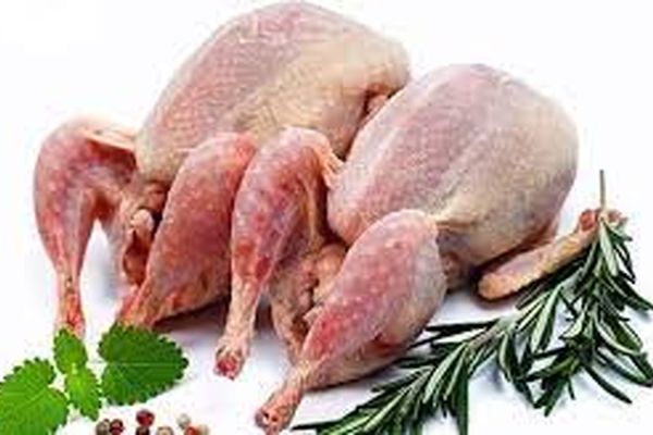 گوشت بلدرچین با بیشترین خواص درمانی برای انواع بیماری‌ها