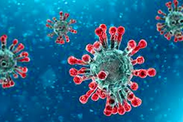 چه کسانی در معرض خطر مجدد کووید 19 قرار دارند؟