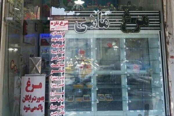 کمبود مرغ در مشهد!/قیمت مرغ درب مرغ‌داری کیلویی ۳۰ هزارتومان است