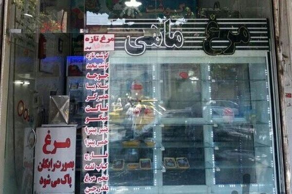 کمبود مرغ در مشهد!/قیمت مرغ درب مرغ‌داری کیلویی ۳۰ هزارتومان است