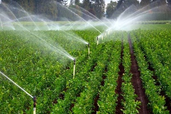 ۱۲۶ میلیون مترمکعب صرفه‌جویی در مصرف آب کشاورزی محقق شد