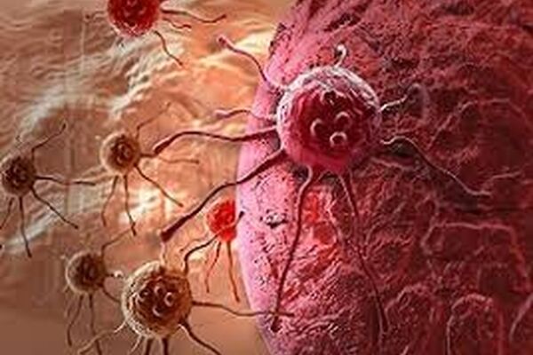 مهم‌ترین عامل سرطان رحم، داشتن شریک جنسی متعدد است