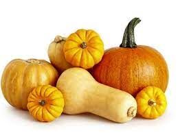 مراقب مصرف برخی از کدو تنبل‌ها باشید