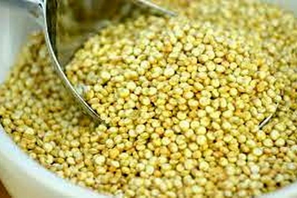 کینوا برای مقابله با مشکلات گوارشی مفید است