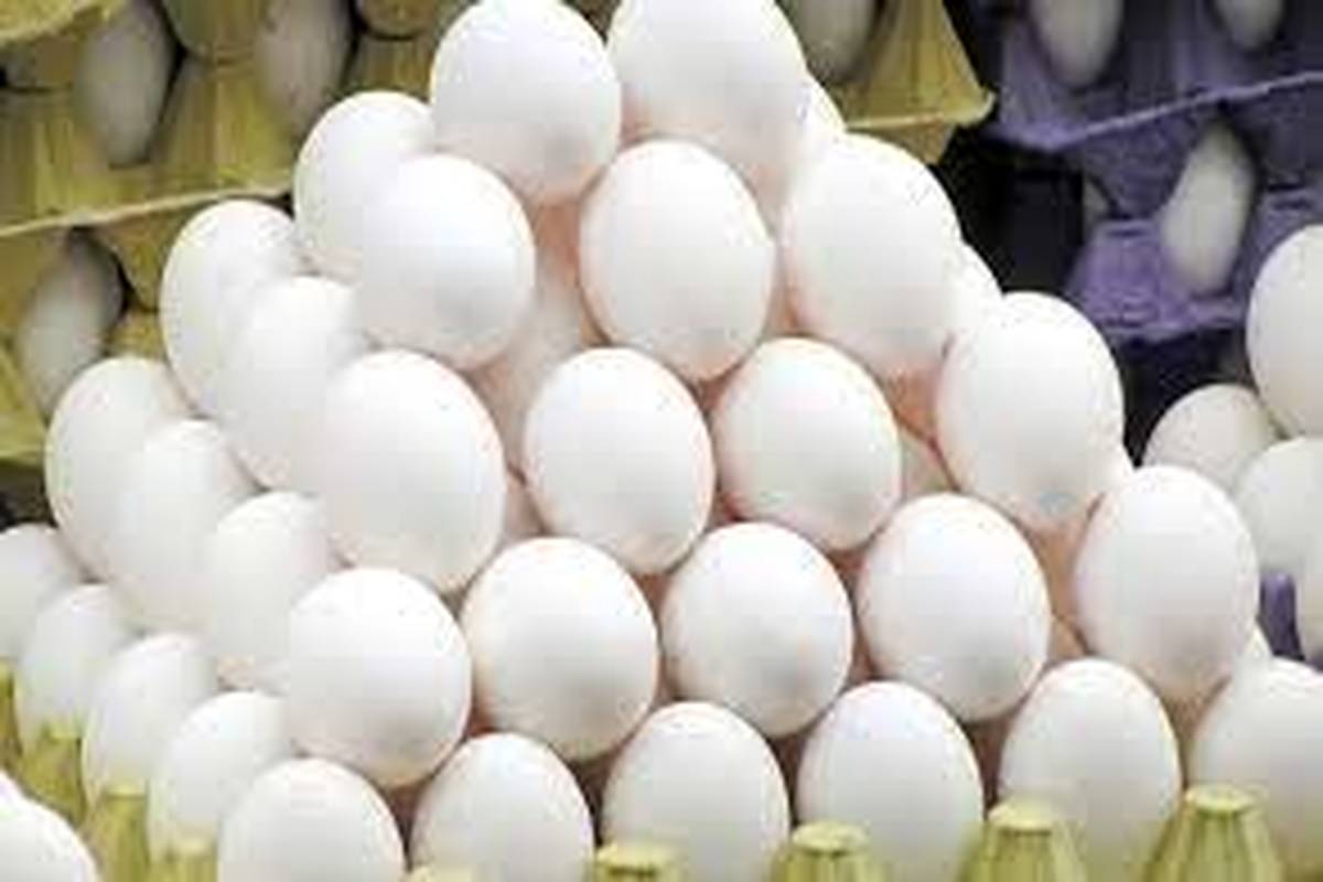 چگونه متوجه فساد تخممرغ شویم؟