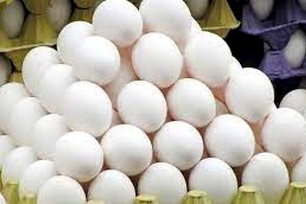 چگونه متوجه فساد تخم‌مرغ شویم؟