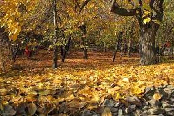 دمای هوای خراسان رضوی 10 درجه افزایش می‌یابد