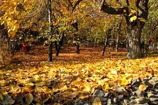 دمای هوای خراسان رضوی 10 درجه افزایش می‌یابد