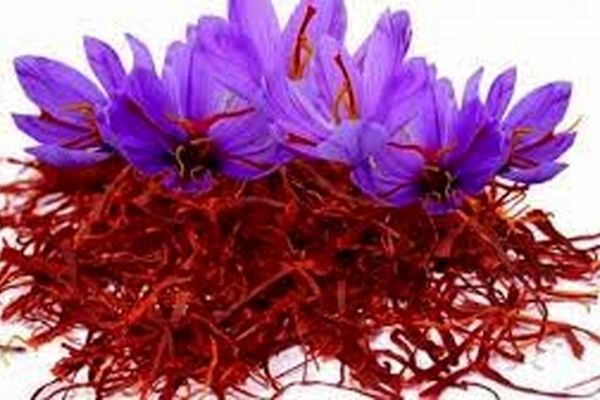 چه کسانی نباید زعفران مصرف کنند؟