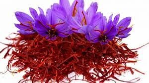 چه کسانی نباید زعفران مصرف کنند؟