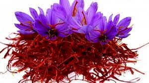 چه کسانی نباید زعفران مصرف کنند؟