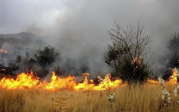 11 هکتار عرصه‌های منابع طبیعی خراسان رضوی درگیر آتش‌سوزی شد