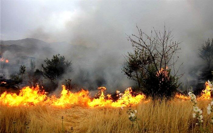11 هکتار عرصه‌های منابع طبیعی خراسان رضوی درگیر آتش‌سوزی شد