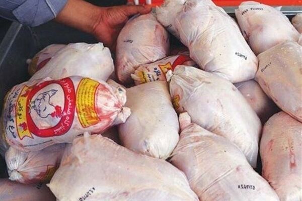 قیمت مرغ به پرواز درآمد